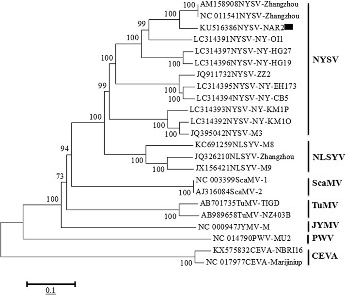 Fig. 4