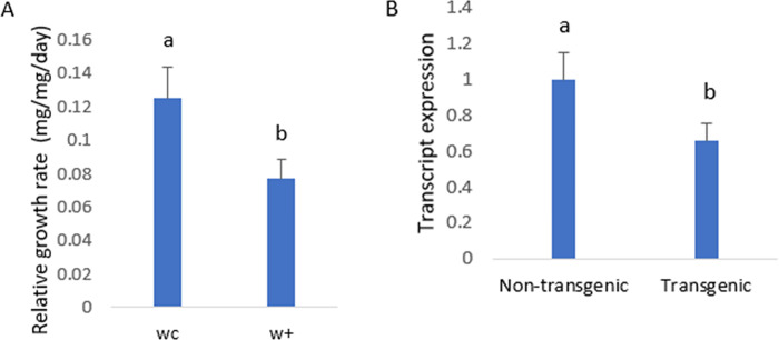 Fig 10