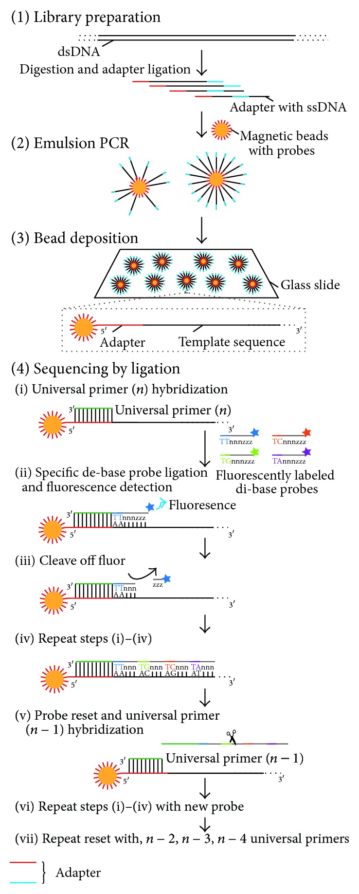 Figure 8