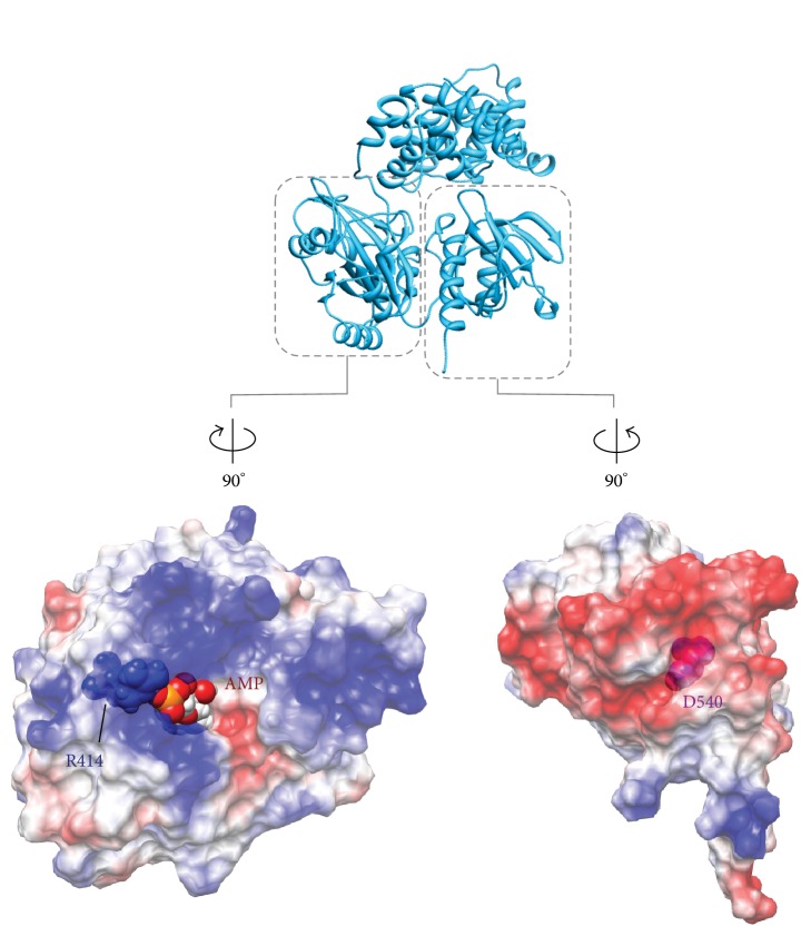 Figure 12