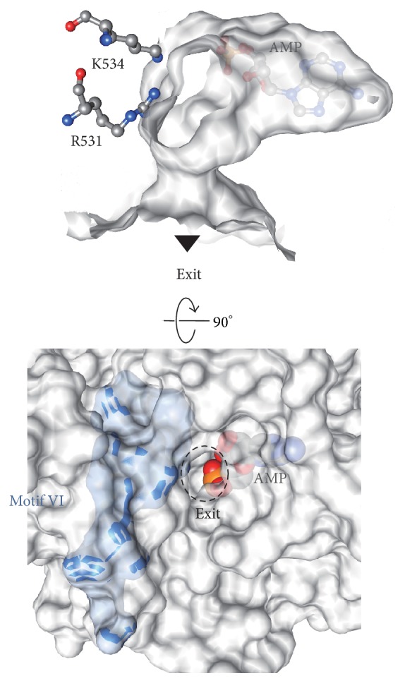 Figure 11