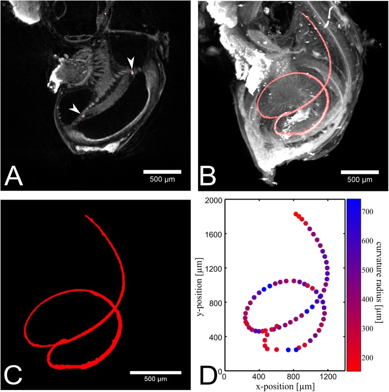 Fig 3