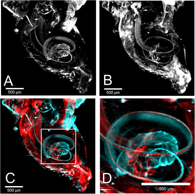 Fig 4