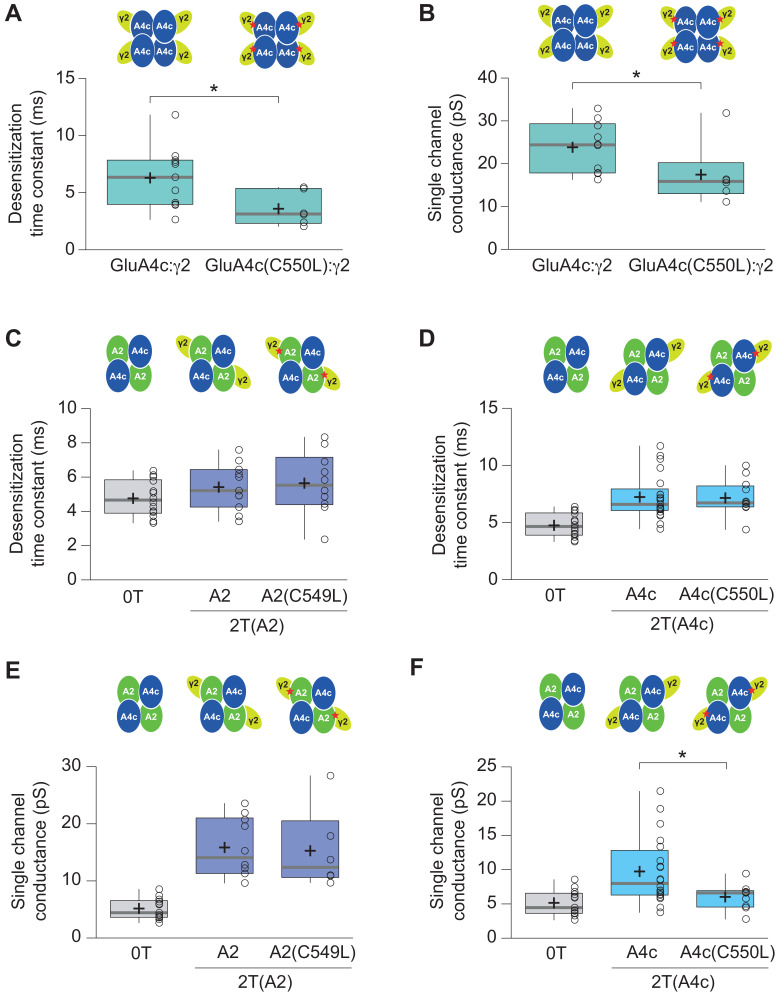 Figure 6—figure supplement 2.