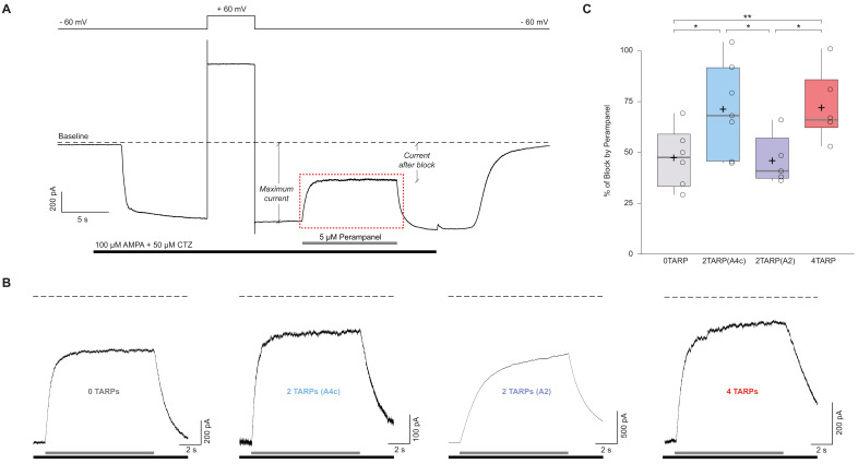 Figure 6—figure supplement 1.