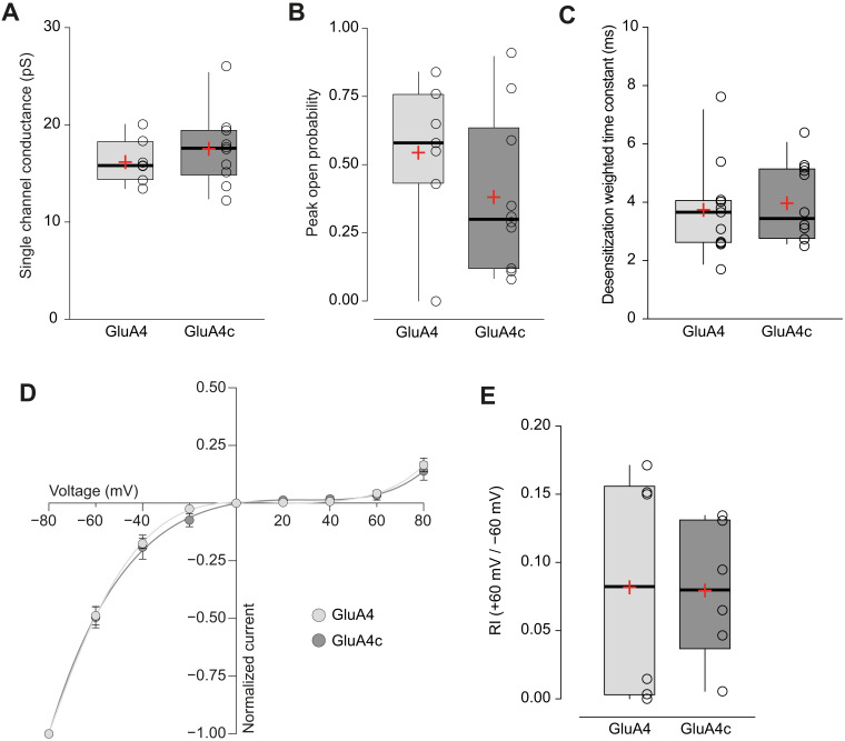 Figure 4—figure supplement 1.