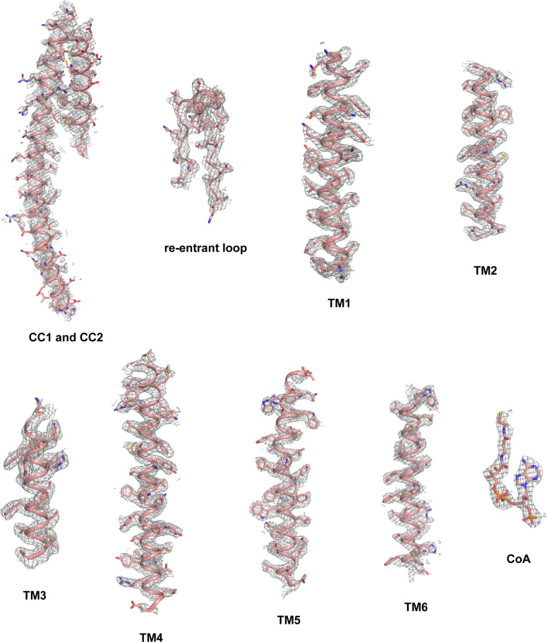 Figure 2—figure supplement 2.