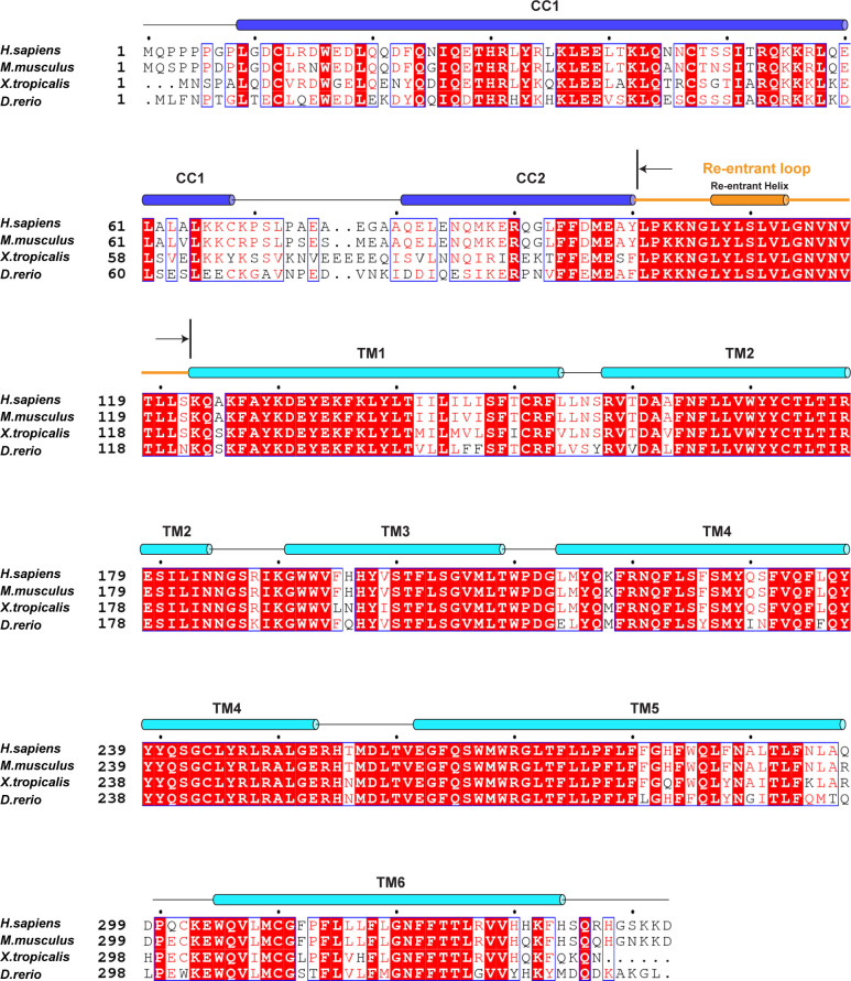 Figure 2—figure supplement 3.