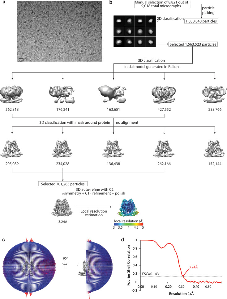 Figure 2—figure supplement 1.