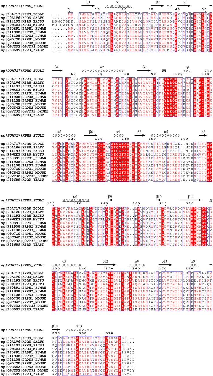 Figure 3—figure supplement 2.