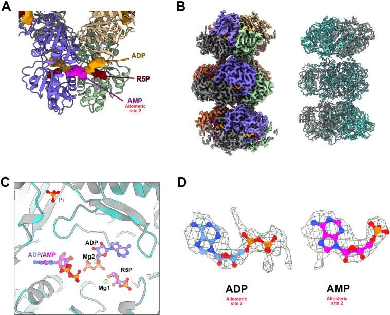 Figure 1—figure supplement 5.