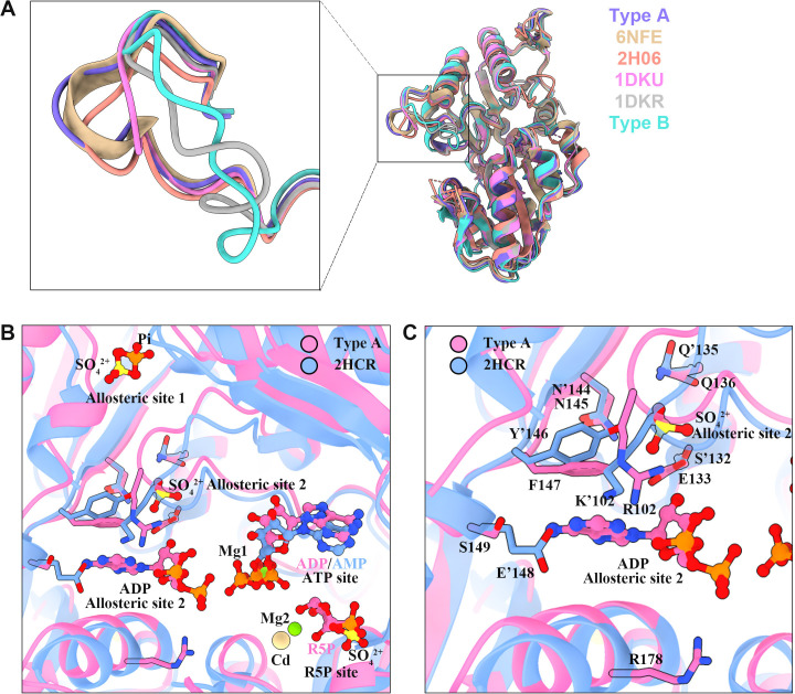 Figure 3—figure supplement 1.