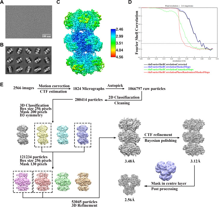 Figure 1—figure supplement 6.