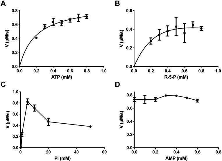 Figure 6—figure supplement 1.