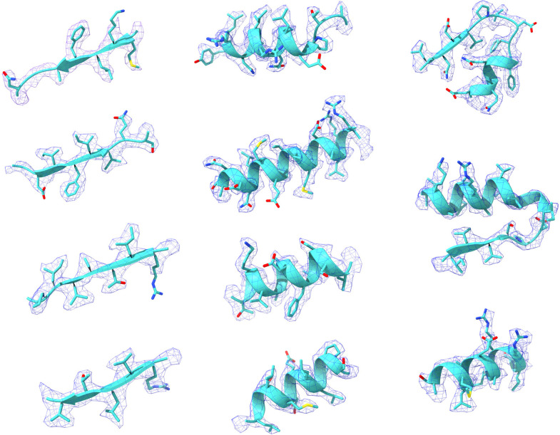 Figure 1—figure supplement 7.