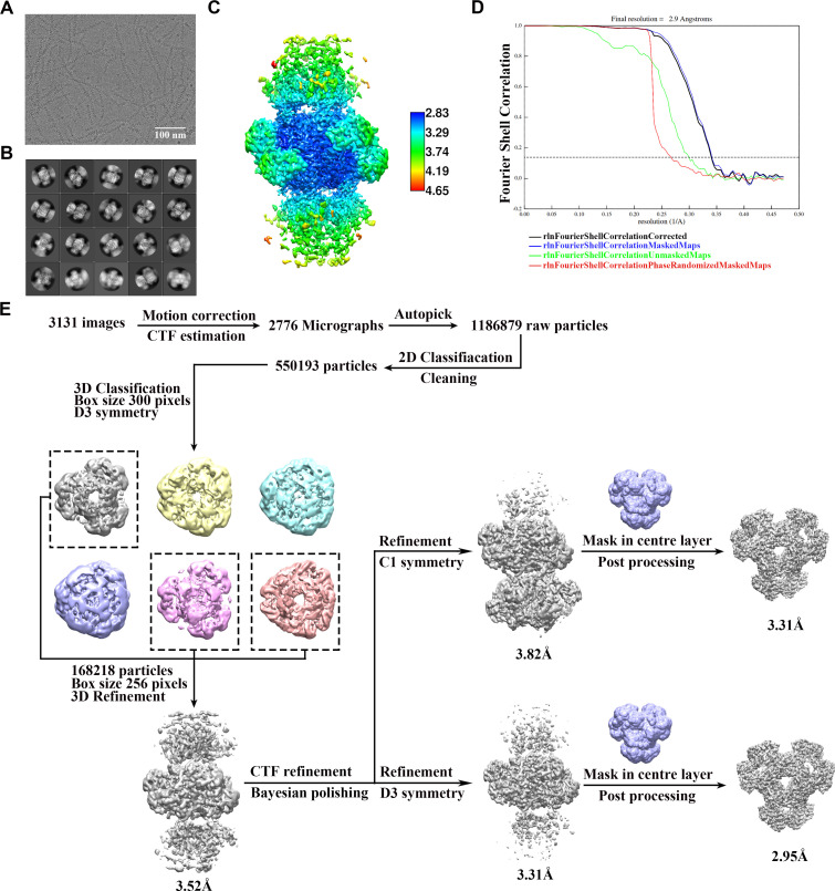 Figure 1—figure supplement 3.