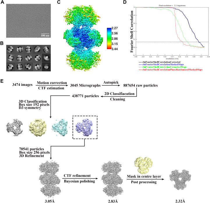 Figure 1—figure supplement 2.