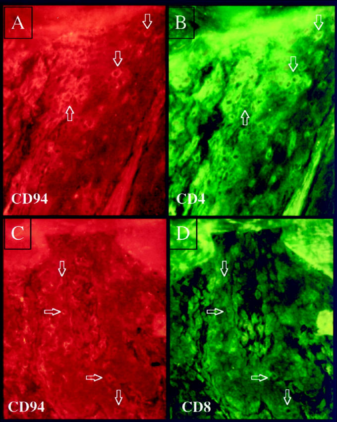 Figure 12.