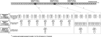 Timeline for urine collection. For collection week 1, the median was 13 gestational weeks; for collection week 2, the median was 23 weeks; and for collection week 3, the median was 32 weeks. Spot samples of all urine voids over study week 1 were assayed in week 1 for subgroup 1 (n equals 2 women). Daily pools of the study week 1 were assayed for all women (n equals 8 women). Weekly pool of the study week 1 assayed in weeks 1 to 3 for all women (n equals 8 women). One random spot sample in each study week was assayed for all women (n equals 8 women).