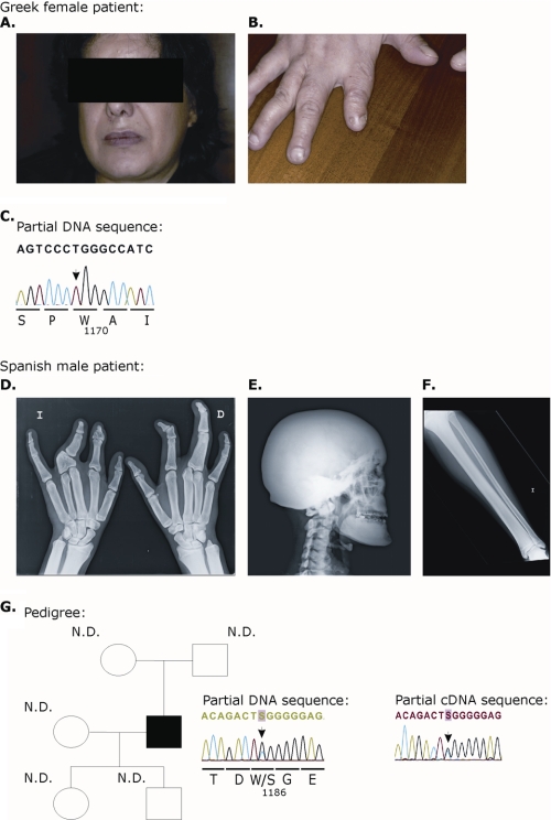 FIGURE 4.