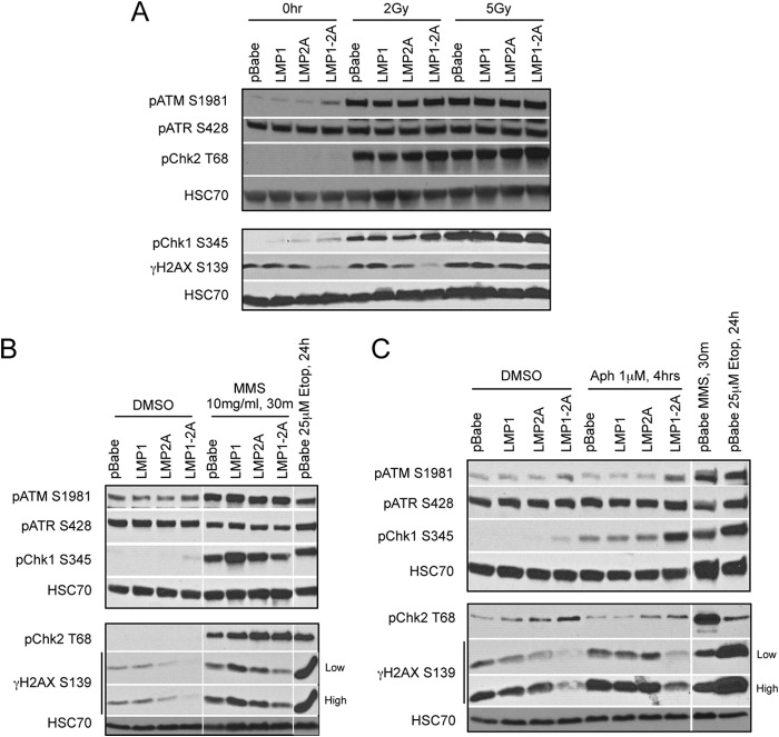 FIG 7