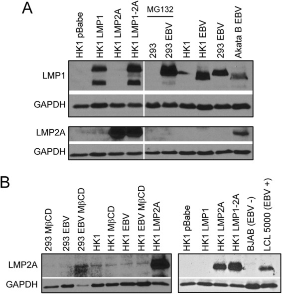 FIG 2