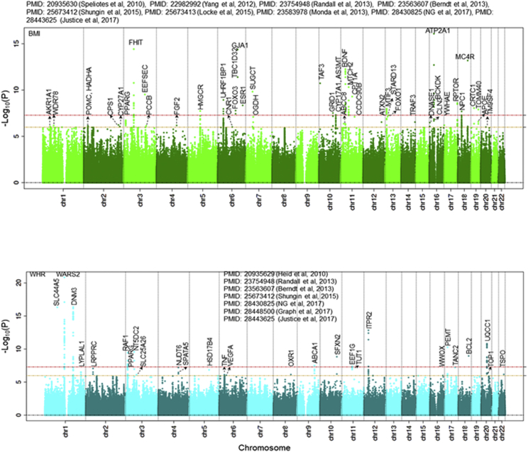 Figure 2