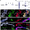 FIG. 6.