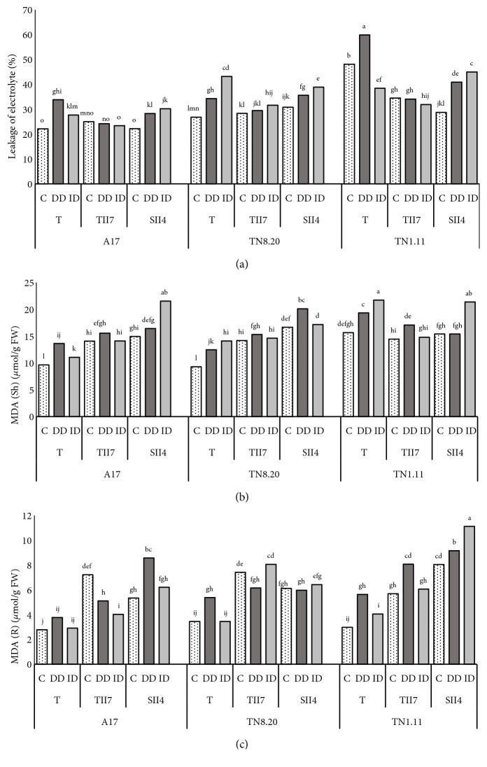 Figure 5