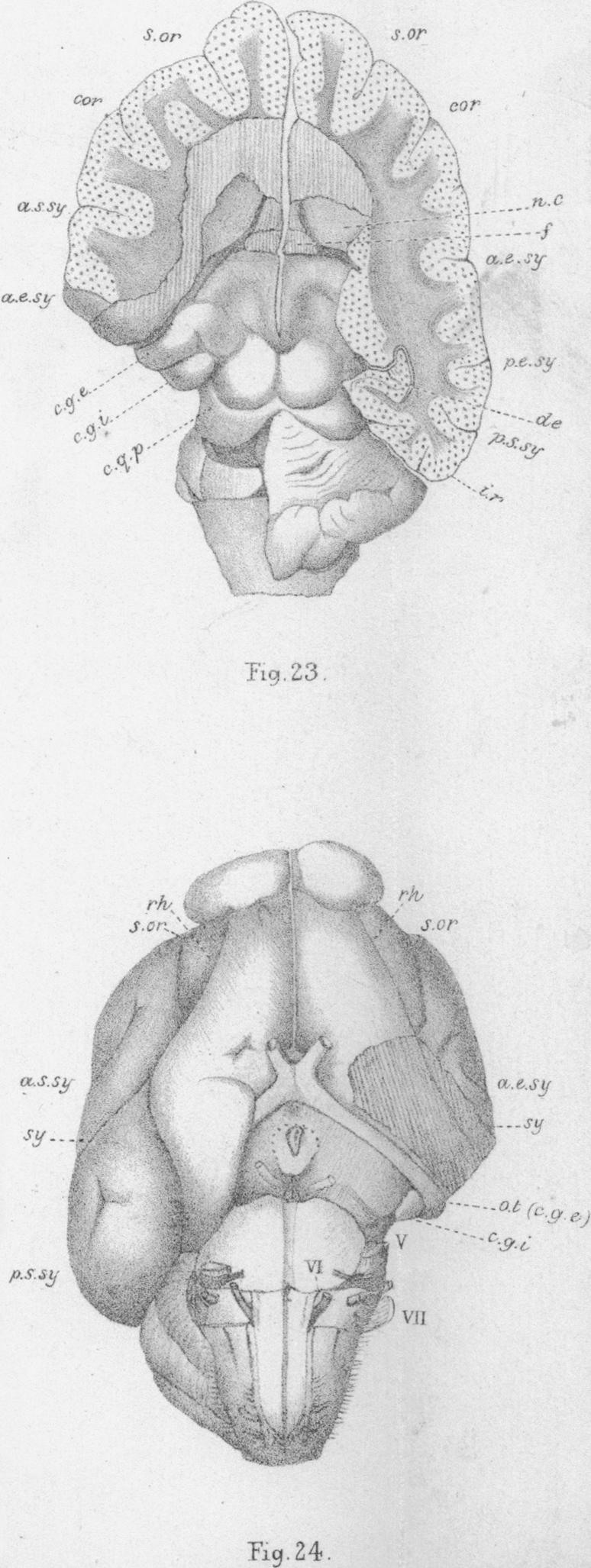 Figs. 23 and 24