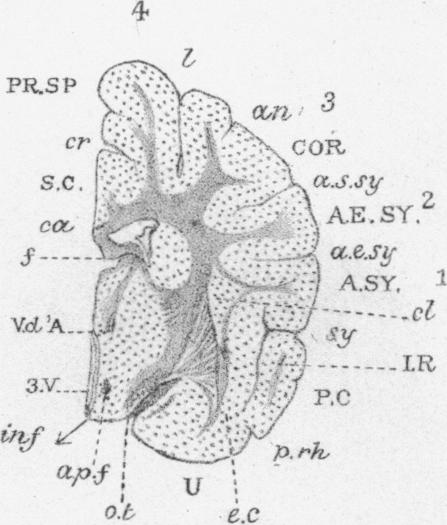 Fig. VI