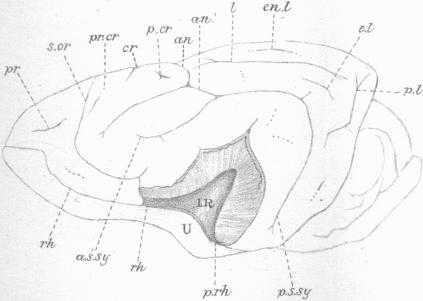 Fig. 16