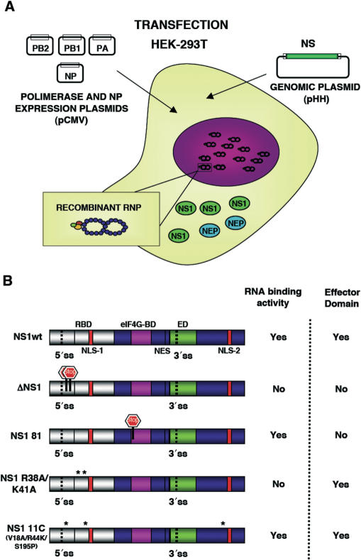 Figure 1.