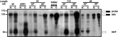 Figure 7.