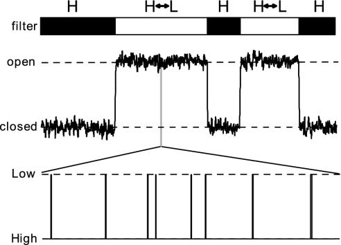 Fig. 5.