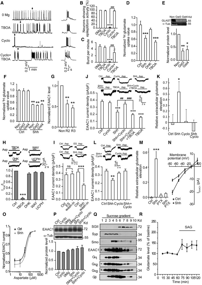 Figure EV4