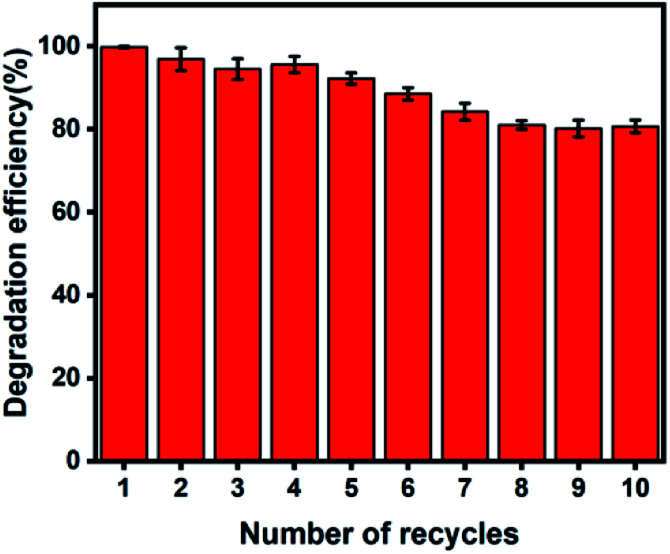 Fig. 10