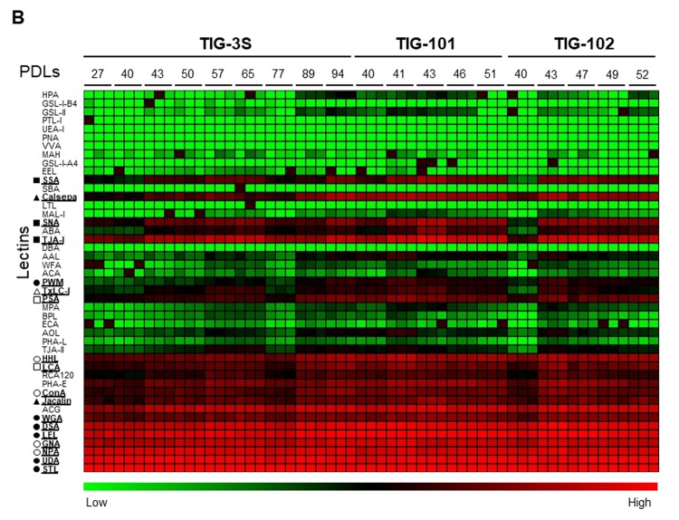 Figure 1B