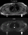 Figure 5: