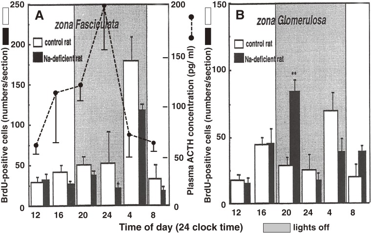 Figure 10. 