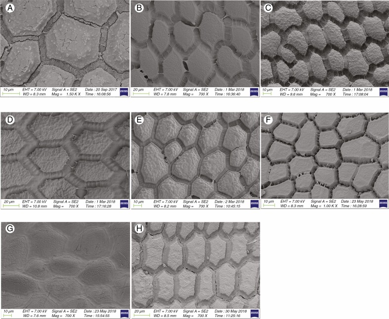 Fig. 14.