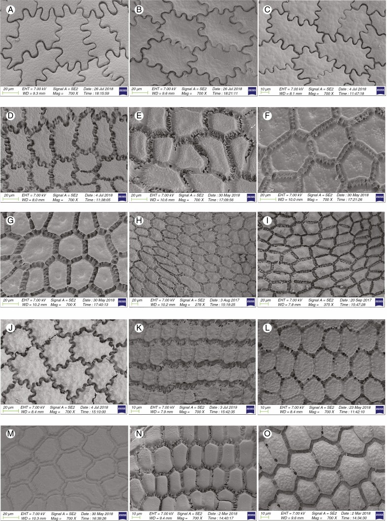 Fig. 13.