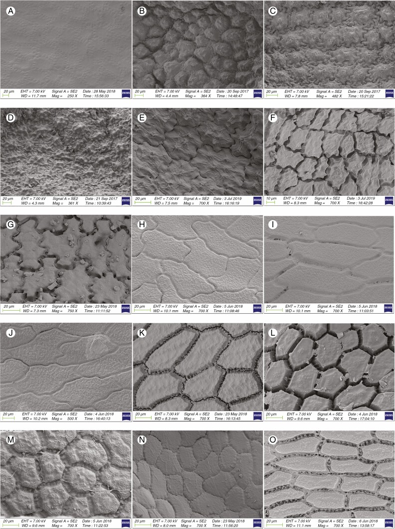 Fig. 10.