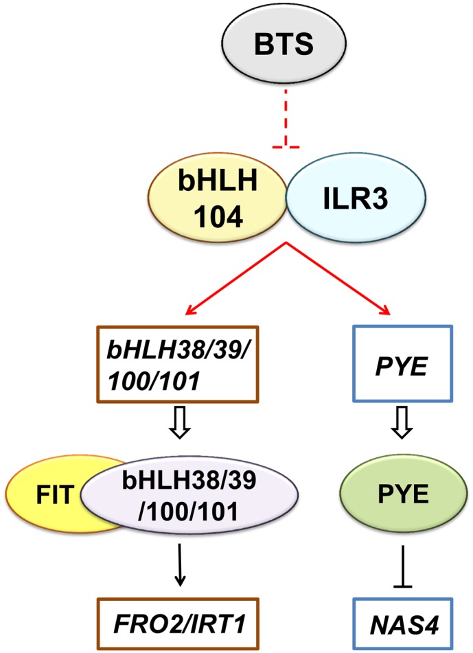 Figure 10.