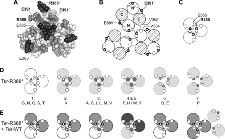 FIG. 6.