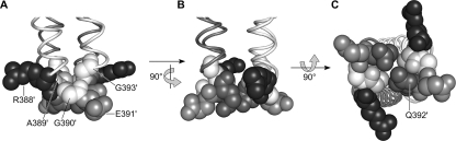 FIG. 7.