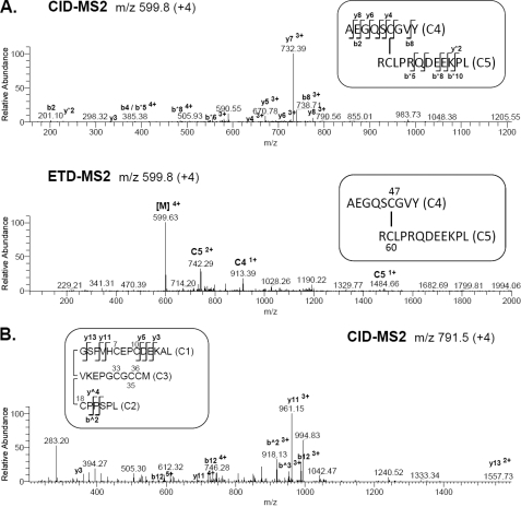 FIGURE 4.