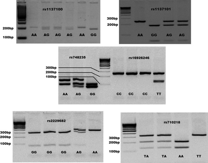 Figure 1.