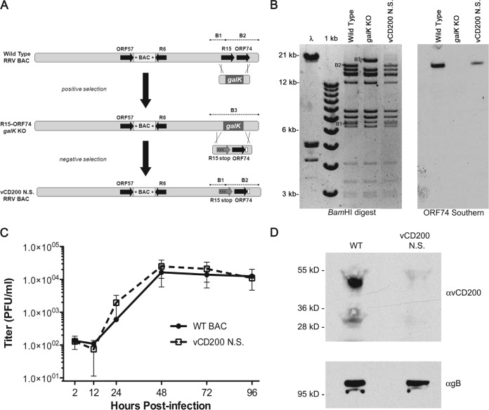 FIG 1