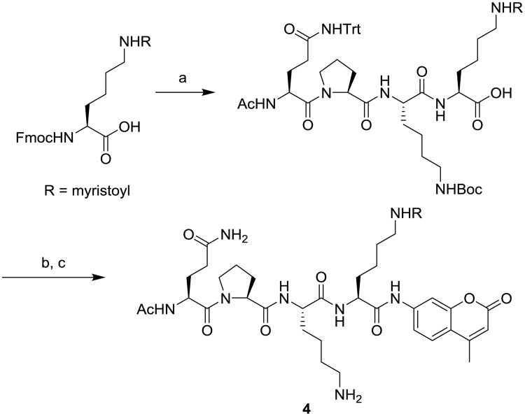 Scheme 1